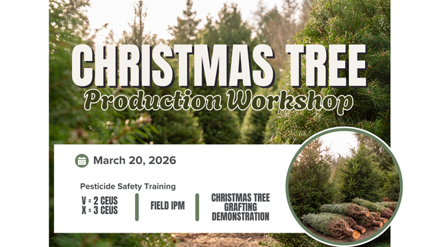 Christmas Tree Farm with workshop information included