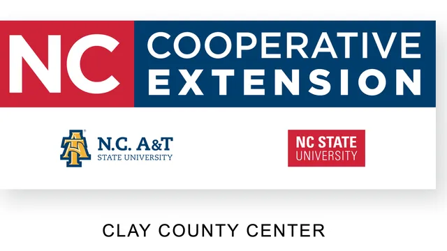 Clay County Center Logo