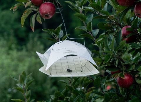 Wing-style insect trap