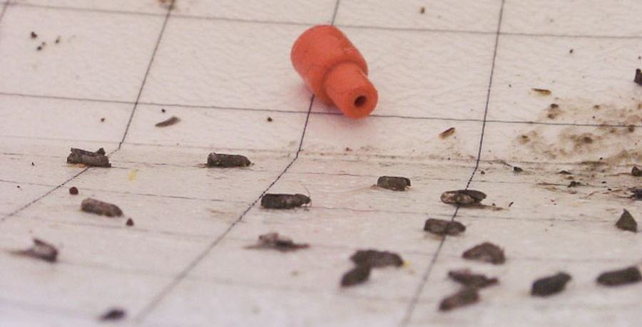Moths stuck on white sticky card with rubber synthetic pheromone lure.