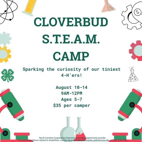 Cloverbud STEAM Camp
"Sparking the curiosity of our tiniest 4-H'ers!"
August 10 through 14
9AM-12PM
Open to ages 5 through 7
$35 per camper
Green 4-H Clover Logo