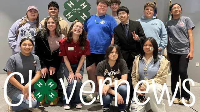 Photo of the Lee County Delegation to 4-H Teen Retreat