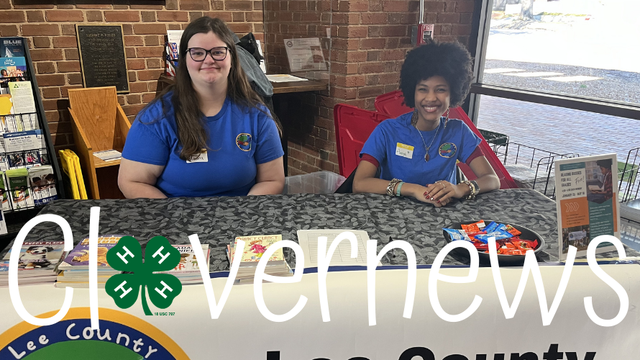 Photo of two 4-Hers manning a table at the Lee County Library