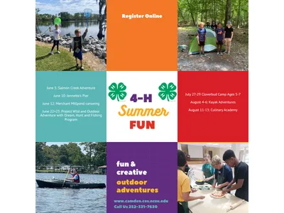 Tiled photo of summer fun activities