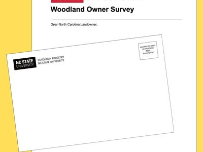 Blank Woodland Owner Survey and envelope.