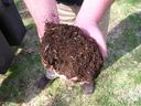 Someone holding compost in their hands