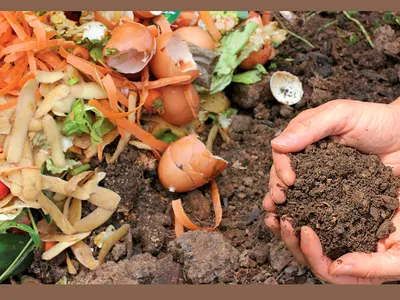 A compost pile with a handful of soil
