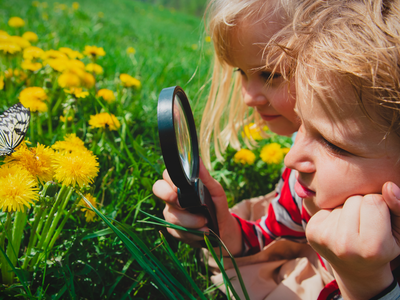 two youth are laying in a field looking at a butterfly with a magnifying glass