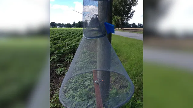 An image of a mesh cone topped with a mesh cylinder used to capture pests.