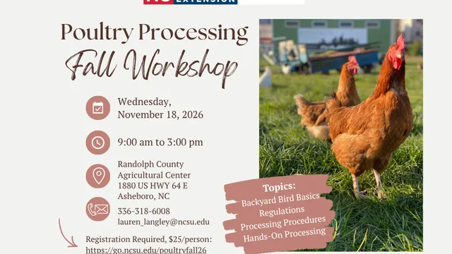 poultry workshop flyer