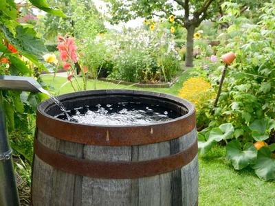 a wooden barrel in a garden being filled with water from a downspout