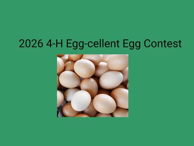 2026 4-H Egg Excellent Contest and pic of eggs