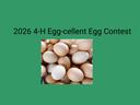 2026 4-H Egg Excellent Contest and pic of eggs