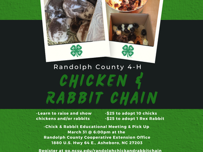Randolph County 4-H Chicken and Rabbit Chain