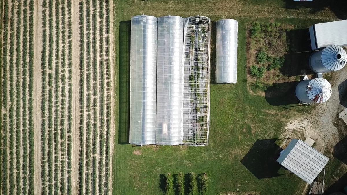 Overhead drone picture of a local Rowan County produce farm