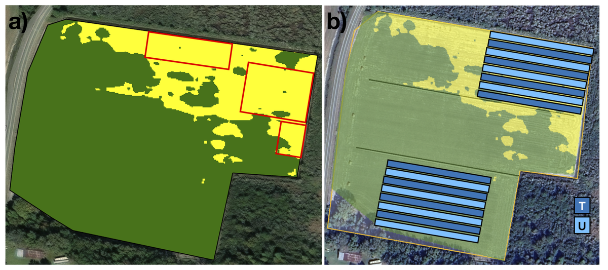 Left panel is an aerial field image with an overlay areas that indicate moderate salt impact on plant growth in yellow and no impact on plant growth in green. Right panel shows split-field design with alternating treated and untreated strips.