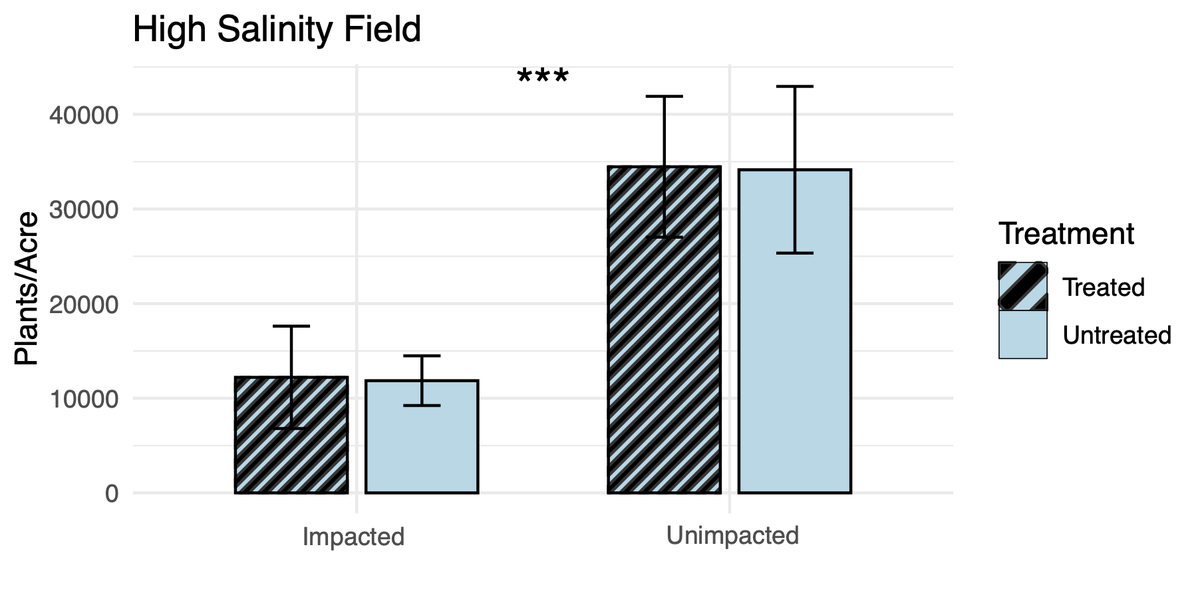 Bar charts showing higher stand counts in the salt-impacted segments versus the salt-unimpacted segments of the high salinity field.