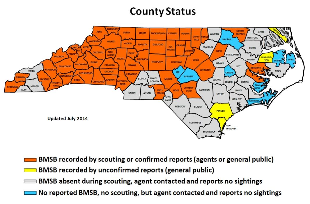 damage on tomato plants