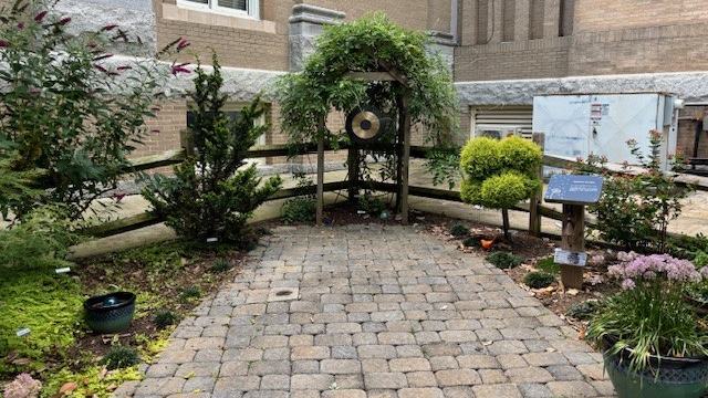 a garden growing