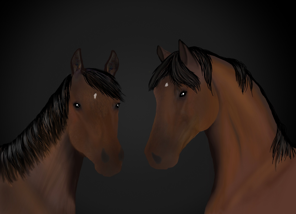2025 Senior Digitally Created Art Champion- Two bay horses with stars