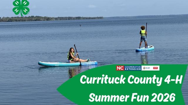 Kids on stand up paddle boards