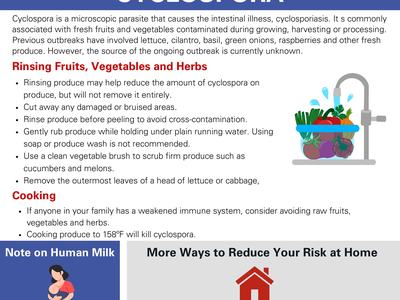 Cyclospora fact sheet