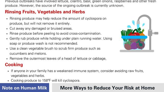 Cyclospora fact sheet
