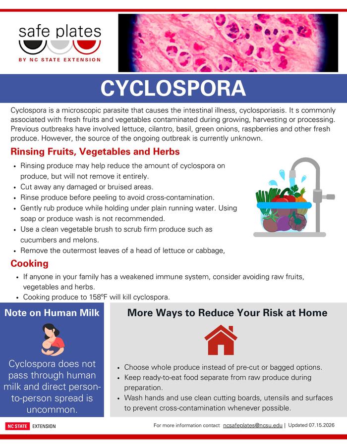 Cyclospora fact sheet