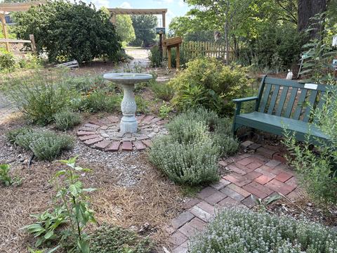 bench and bird fountain in a garden with various green and some flowering plants around them