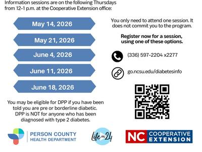 flier for the DPP info session