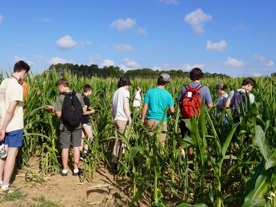 Students in a corn field