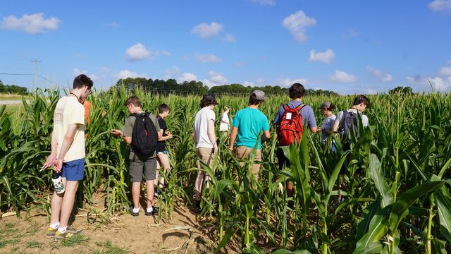Students in a corn field