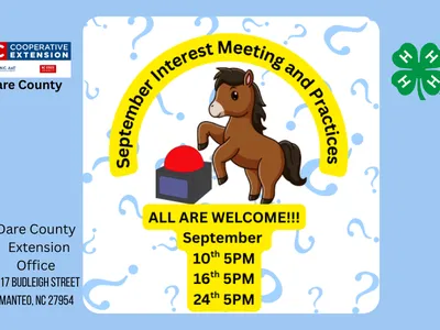 blue horse pushing buzzer horse bowl dates