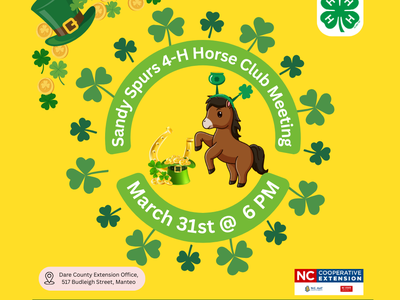 Flyer for March with Horse on it and Green