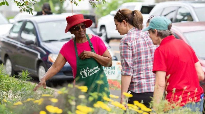 A woman in a green Master Gardener apron discusses the yellow flowers blooming in the demonstration garden with two other women.