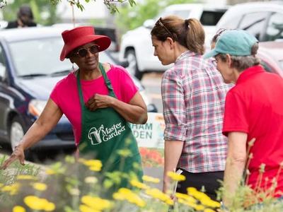 A woman in a green Master Gardener apron points to yellow blossoms during a garden tour.