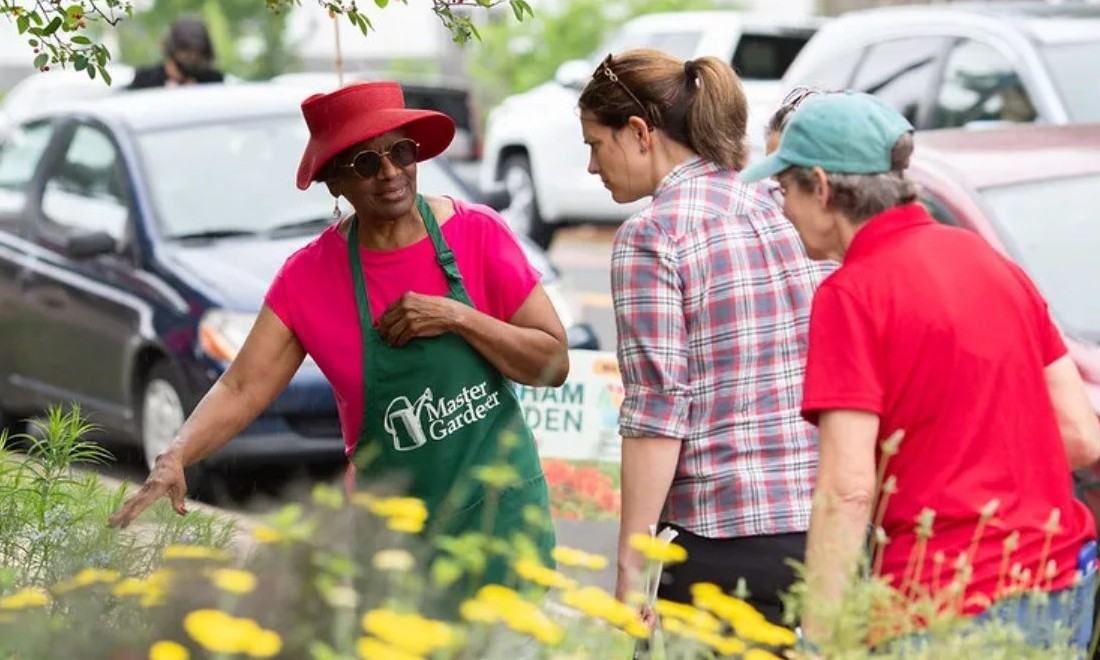 A woman in a green Master Gardener apron points to yellow blossoms during a garden tour.