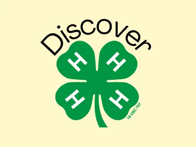 Discover 4-H