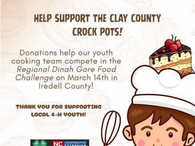 Donations for Clay County Crock Pots