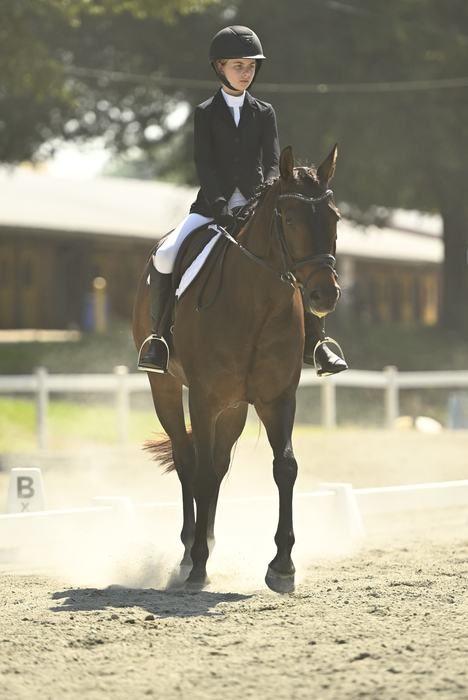 A picture of a dressage rider in the outdoor arena during the 2025 NC State 4-H Horse Show.