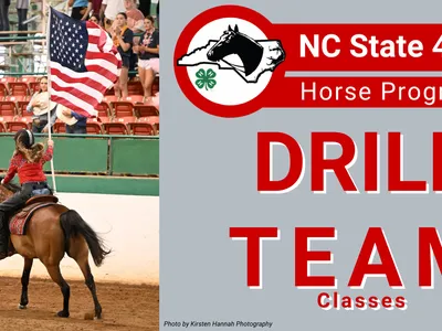 A picture of a rider from the 2025 NC State 4-H Horse Show Carrying the American Flag.