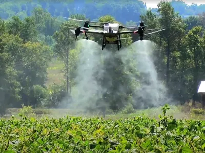 Large agricultural drone hovering low over a crop field, actively spraying a mist of liquid pesticide over plants.