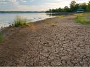 The shoreline of the Pungo River with very dry, cracked dirt.  There is very little vegetation, a few clumps of swamp grass. Line of trees in the background