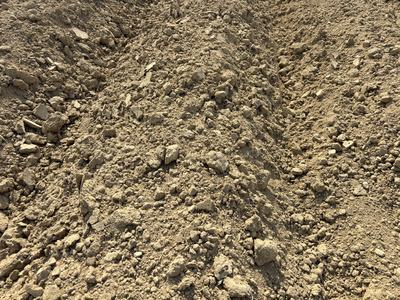 Dry soil near Rocky Mount prior to rainfall