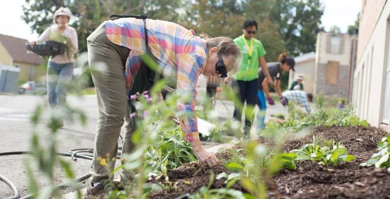 A diverse group of people installs young, green plants into freshly cultivated soil.