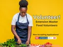 Woman cutting vegetables on a cutting board with a yellow background. Words announcing applications are open for volunteering with the EMFV program.