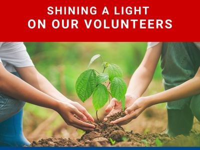 Two sets of hands planting a plant in soil.