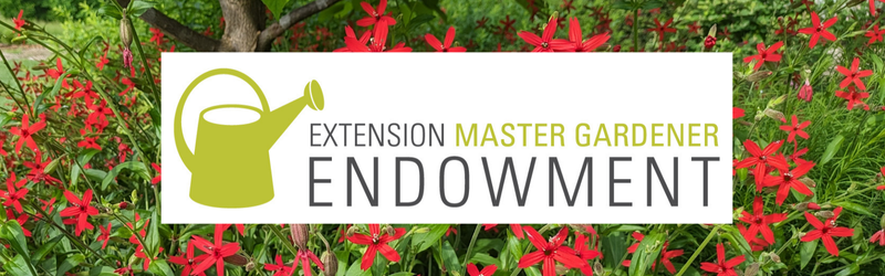 A green watering can with the words "Extension Master Gardener Endowment" extending to its right is surrounded by colorful red flowers.