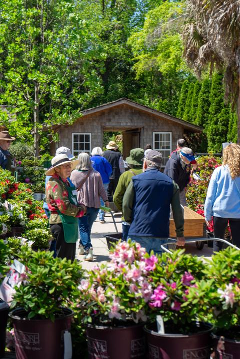 EMG volunteer welcoming in a line of Plant Sale shoppers