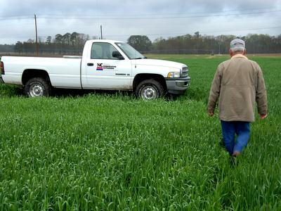 Extension Agent working in a field